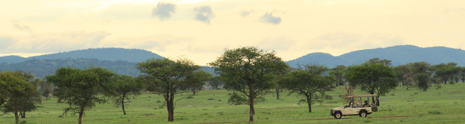 Driving through the vast open plains of Tanzania in a Landrover Safari Jeep.