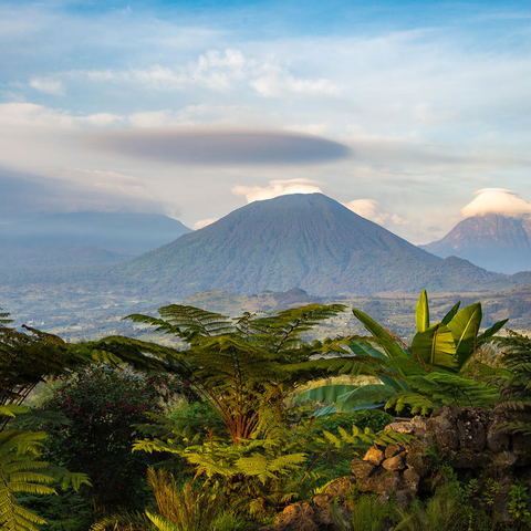 Rwanda landscape.