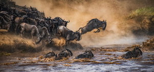 More of the Mara. Stay 4 Nights, Pay for 3.