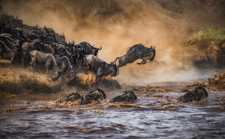 More of the Mara. Stay 4 Nights, Pay for 3.