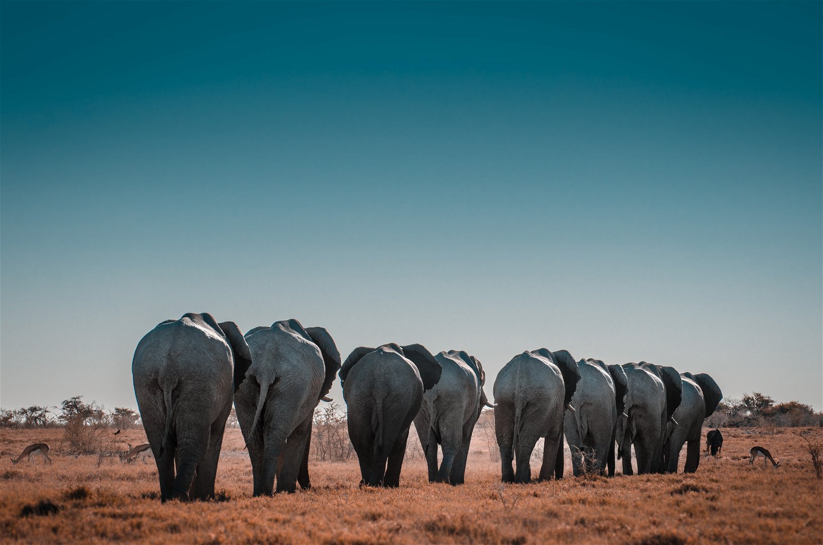 Guiding you through Africa, your way