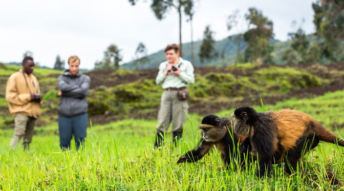 Custom itineraries shaped around your interests