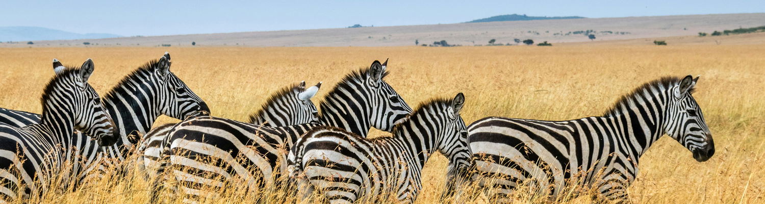 Kenya