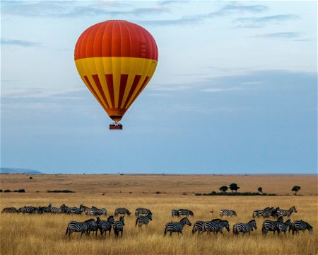 Hot air balloon ride over large herds of zebra.