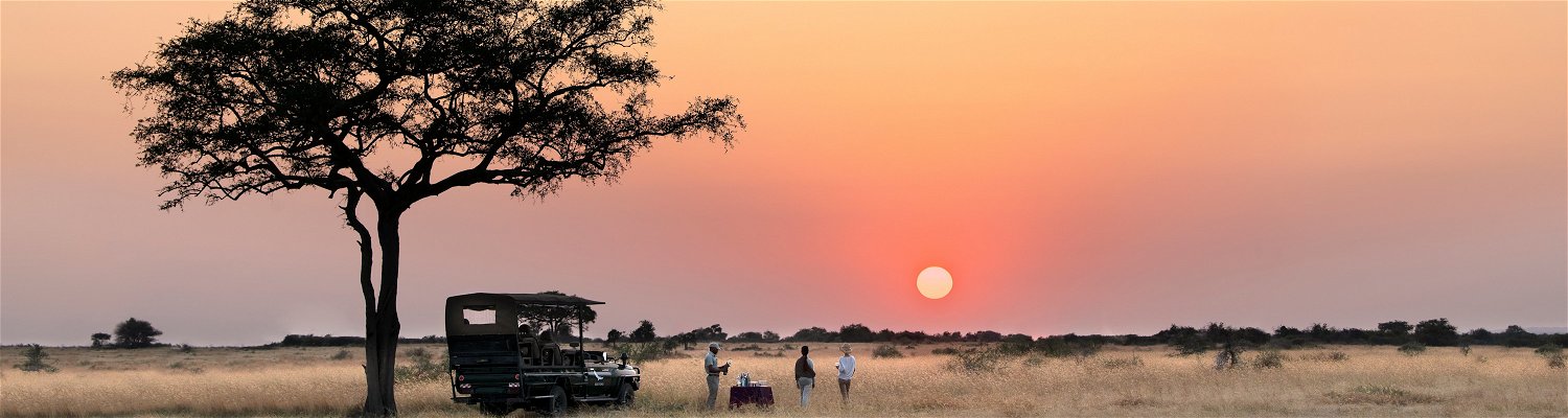 Explore Tanzania in a Private Safari Vehicle