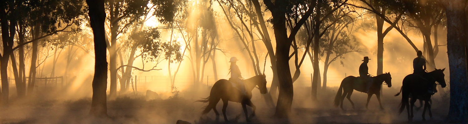 Horse Safaris