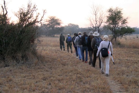Safari walk in the Kruger National Park on a crisp winter's morning.