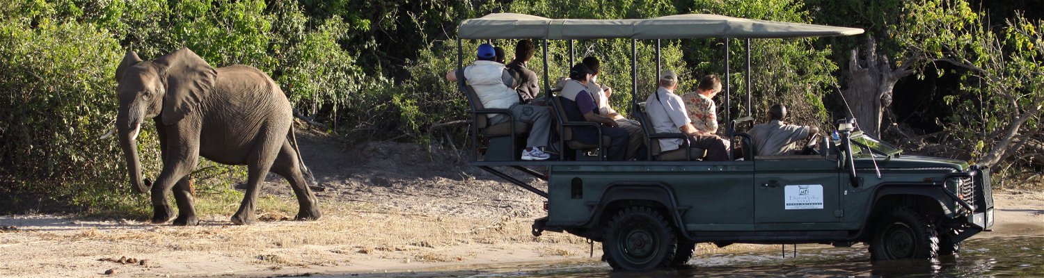 Safari vehicle and tourists viewing an elephant in the Chobe Game Reserve in Botswana.