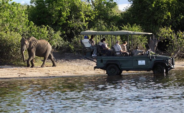 Safari vehicle and tourists viewing an elephant in the Chobe Game Reserve in Botswana.