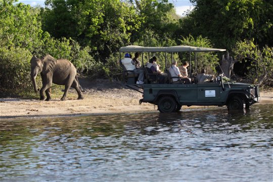 Safari vehicle and tourists viewing an elephant in the Chobe Game Reserve in Botswana.