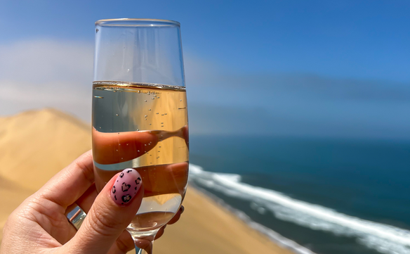 Champgne by the sea, dunes, sandwich harbour