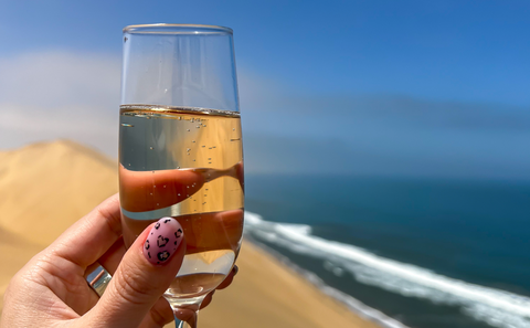 Champgne by the sea, dunes, sandwich harbour