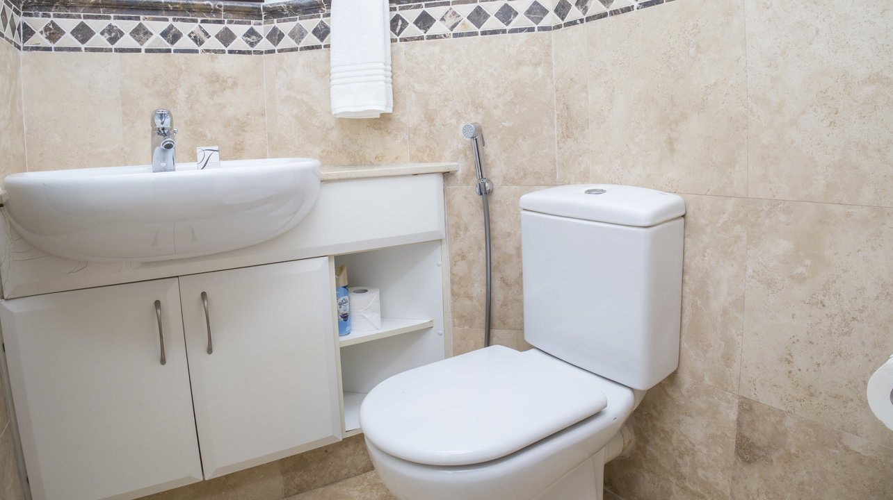 Guest bathroom