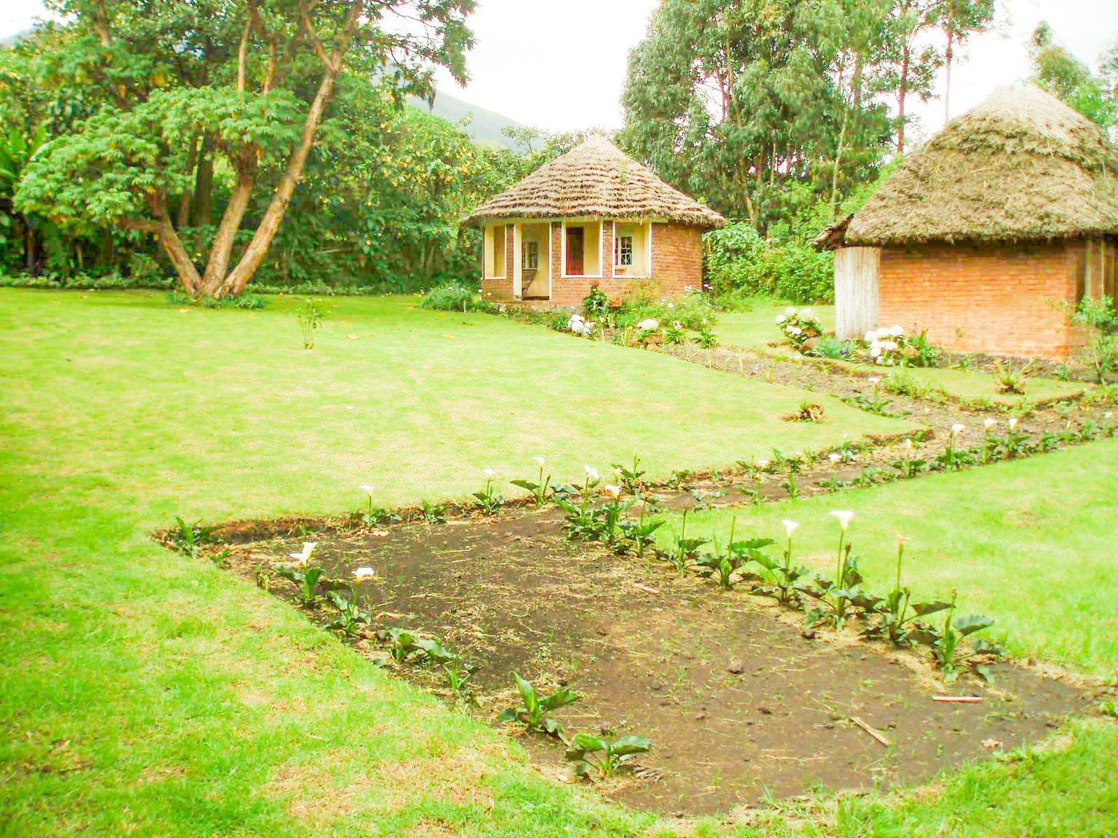 Amajambere Iwacu Community Camp