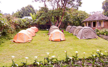 Camping