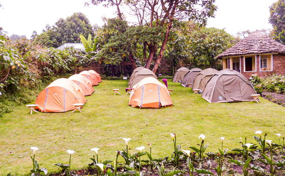 Camping