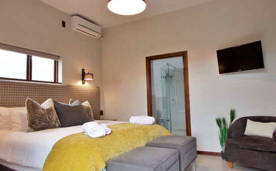 Standard Suite