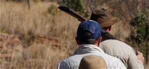 Self Catering 2-Night Local Hunting Package(Wildebeest Bull & Cow Hunt)