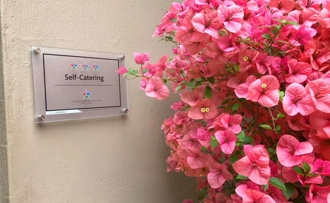 🌿 What do you get out of our services?