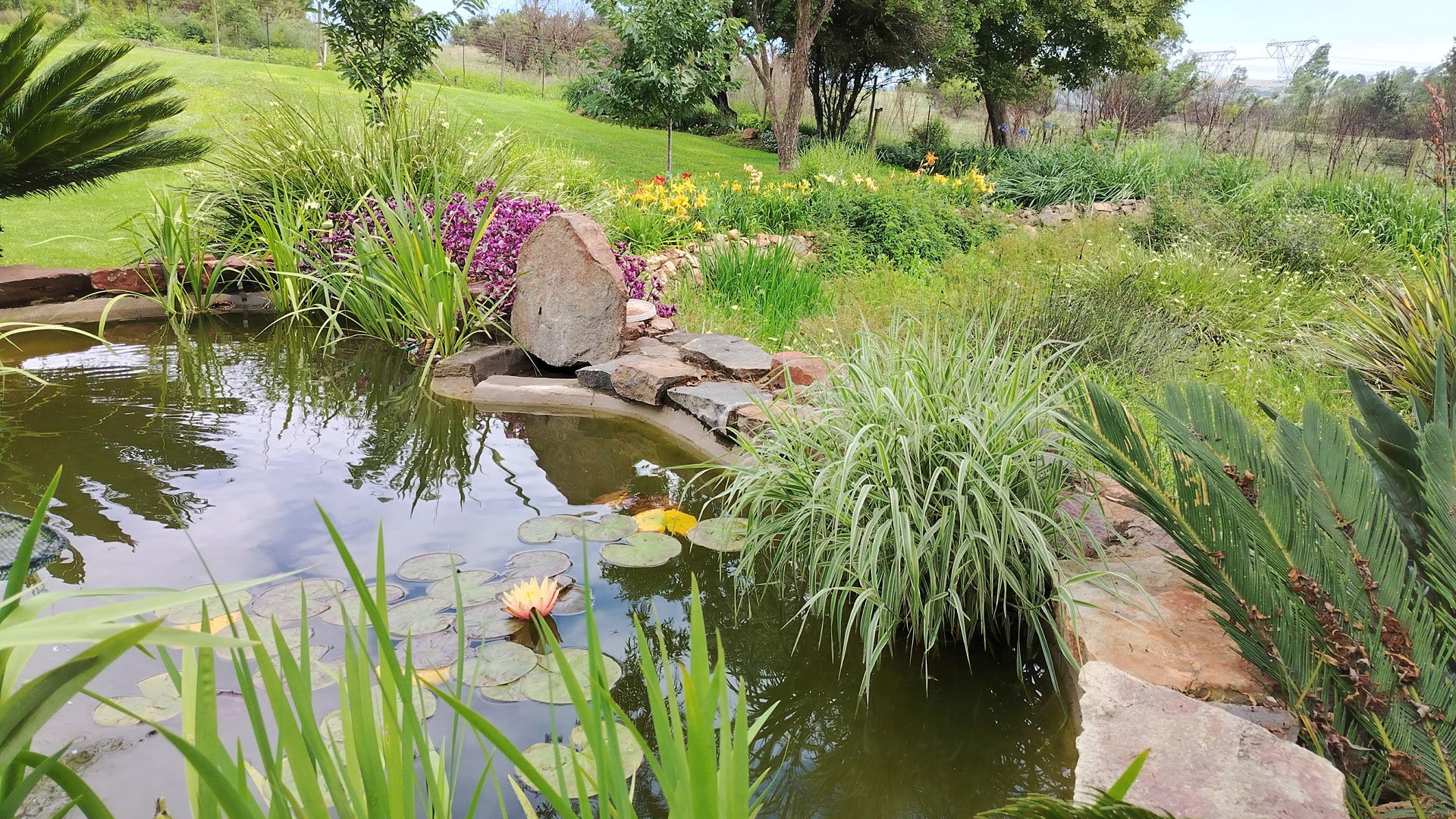#accommodation #lanseria #reunions #schoolaccomodations #countryside #bachelor #bachelorette #bacheloretteparty #getaway #sleepover #peaceful #birthdayparty #conference #business #meeting #reunions #school accommodation #self-catering #bedandbreakfast