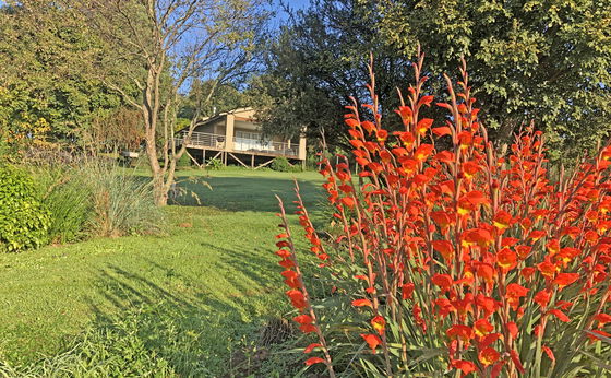 Fish Eagle Lodge