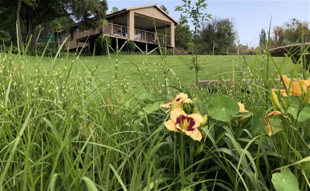 #family chalet #self-catering accommodation #weekend getaway #Lanseria Airport #Lanseria #country escape #accommodation #Bed and breakfast #romantic getaway #family chalet #self-catering accommodation #weekend getaway #Lanseria Airport #Lanseria #country escape #accommodation #Bed and breakfast #romantic getaway