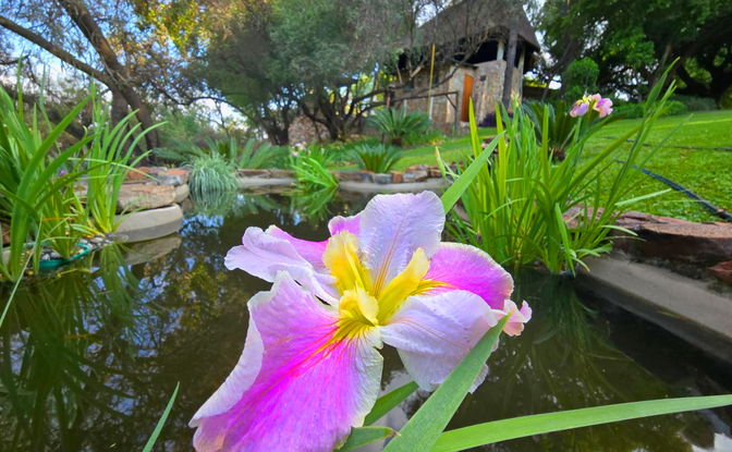 🌿 What Can You Do While You’re Here?