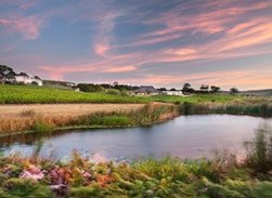 Bouchard Finlayson Winery