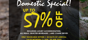 South African Domestic Special 