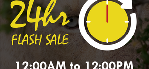 FLASH SALE