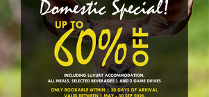 South African Domestic Special