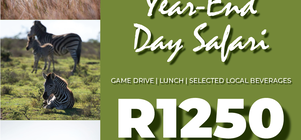 Year-End Day Safari