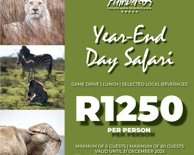 Year-End Day Safari