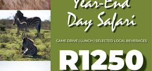 Year-End Day Safari