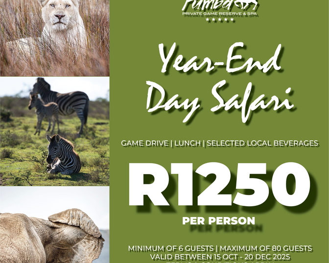 Year-End Day Safari