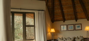 South African Domestic Special