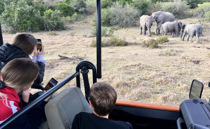 Kids on Safari