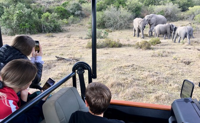 Kids on Safari