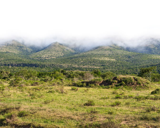 History of the Land 