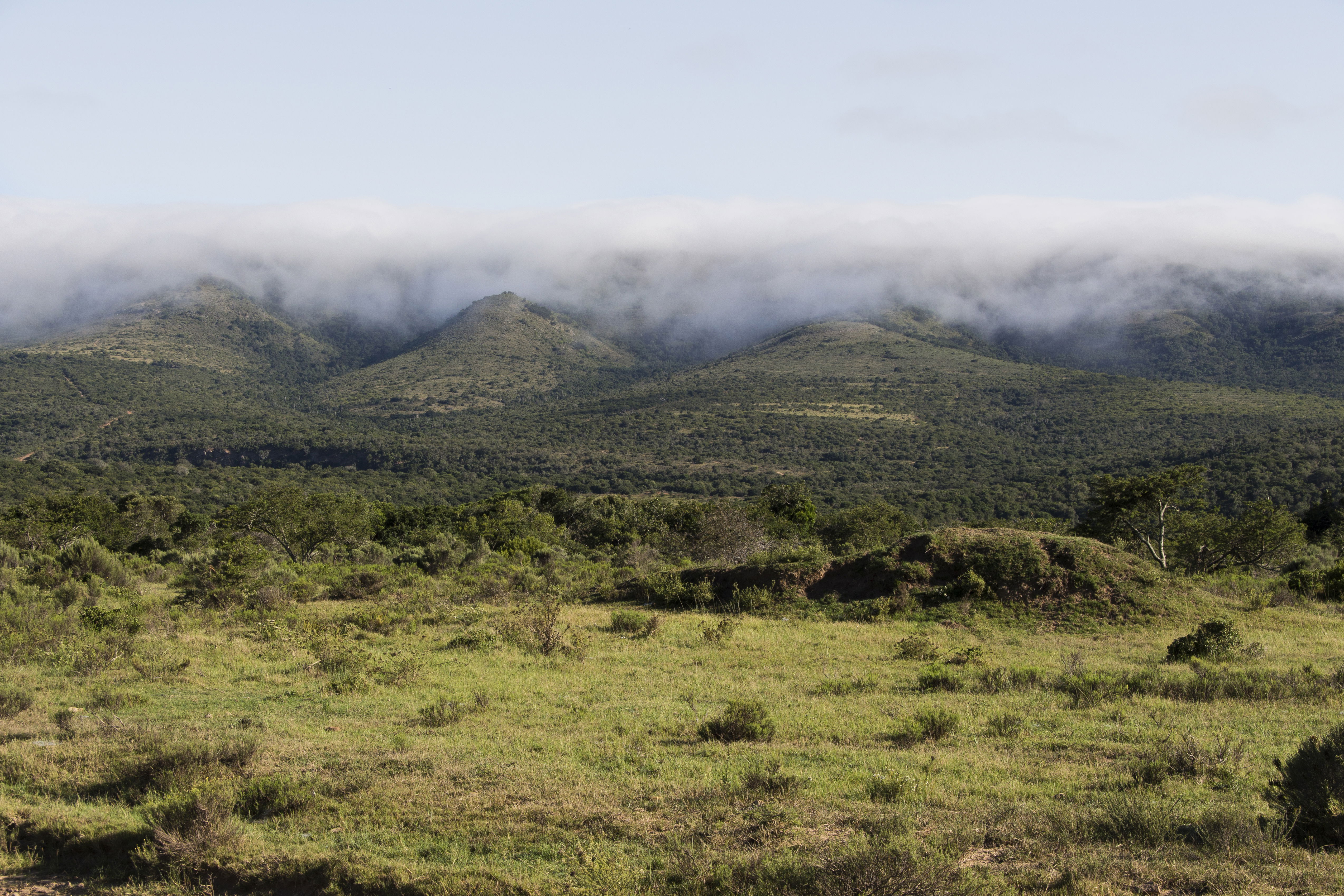 Land | Wildlife | People