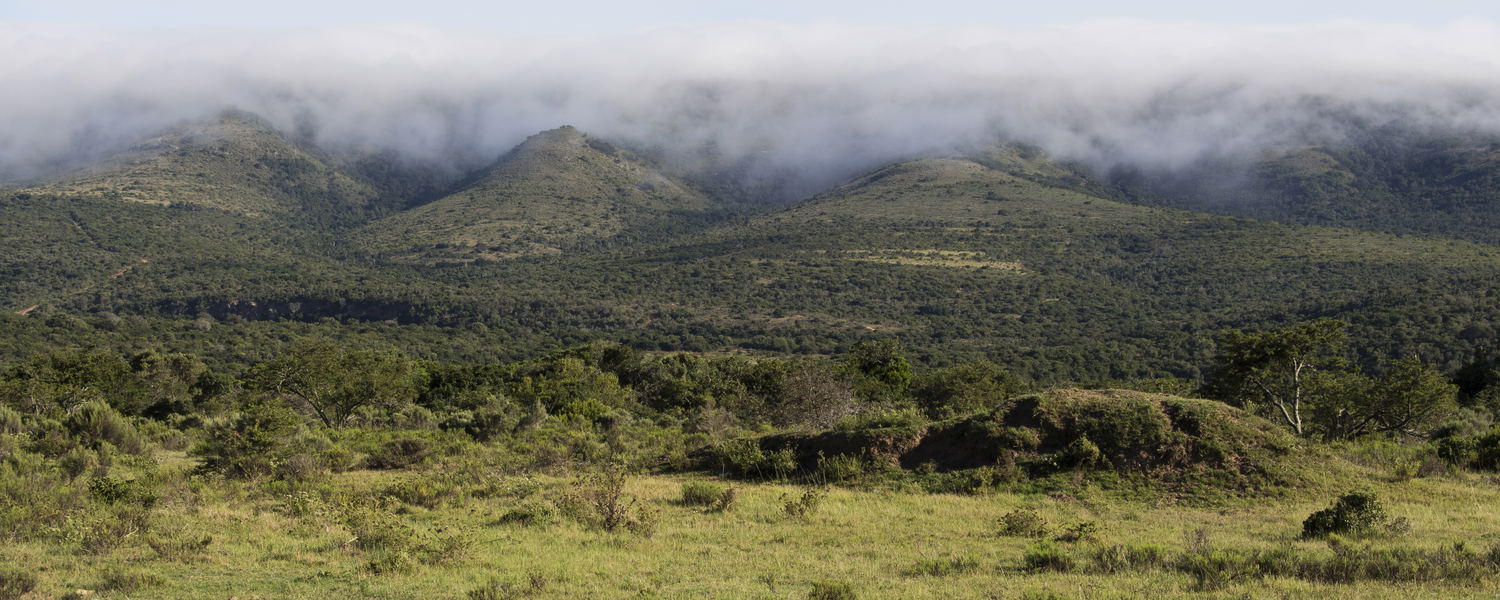 Land | Wildlife | People