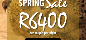 SPRING SALE