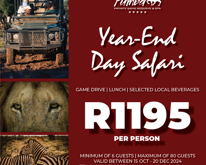 Year-End Day Safari