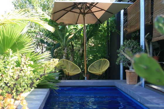 Pool - Garden View