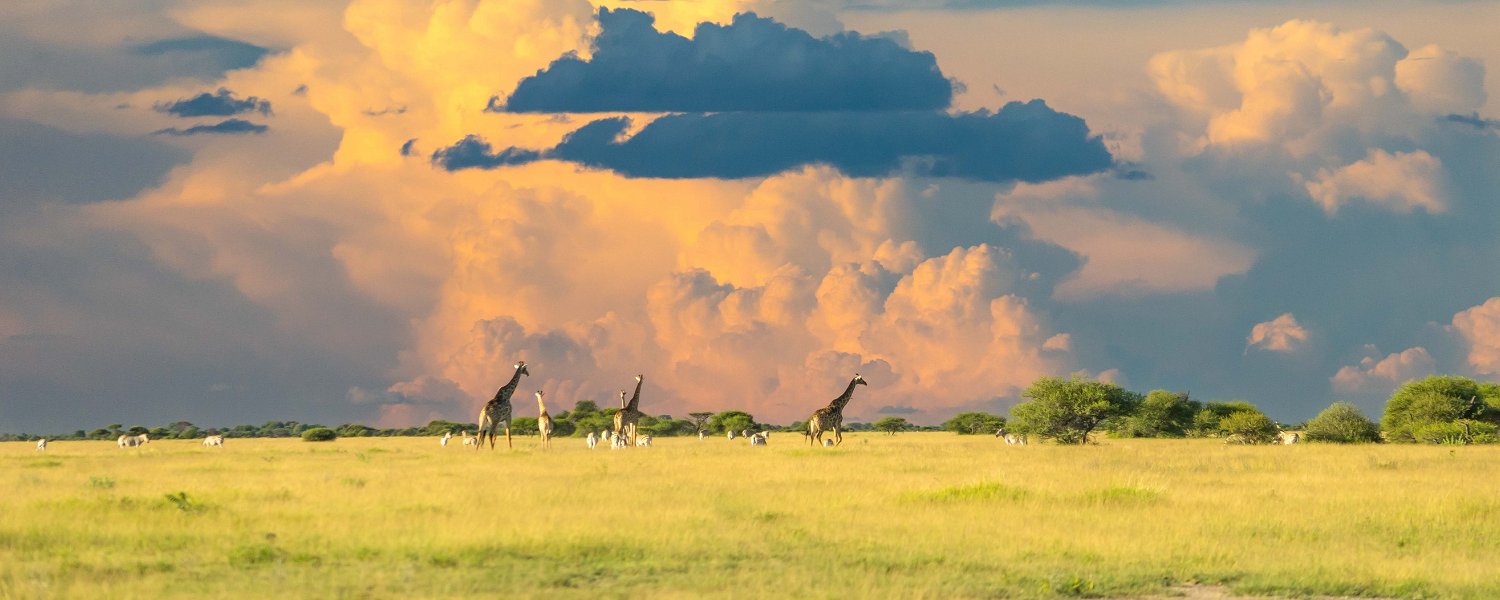 Explore Botswana