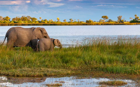 Botswana Delta 7 Days Fly in