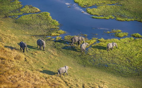 Botswana Classic Delta Self-Drive Safari 12 Days