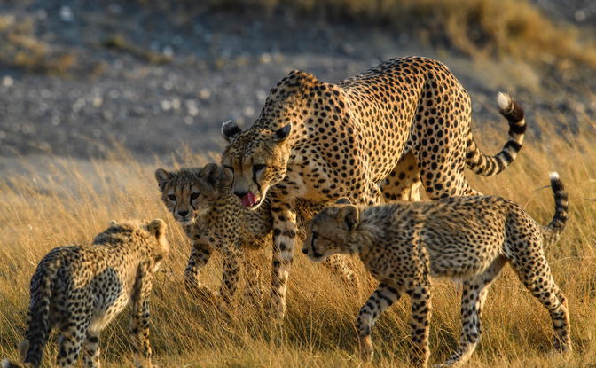 South Africa
