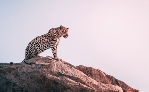 Sustainable South Africa