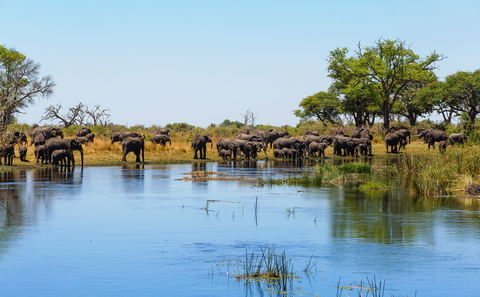 Classic Caprivi Self-Drive - The Zambezi Region